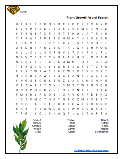 Growing Strong Word Search