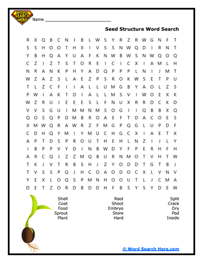 Seed Secrets Word Search