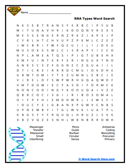 RNA Word Searches