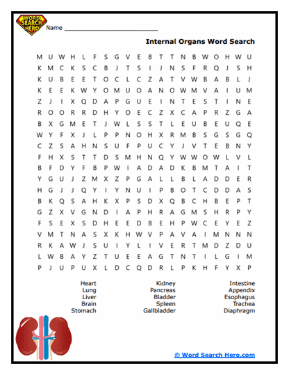 Human Body Word Searches