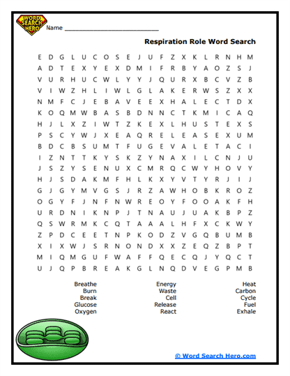 Breath Cycle Word Search