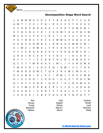 Rot Life Word Search