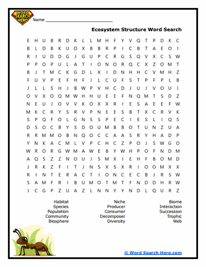 Eco Puzzle Word Search