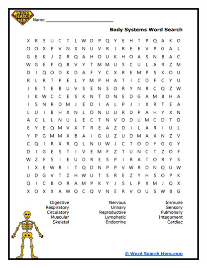 System Safari Word Search