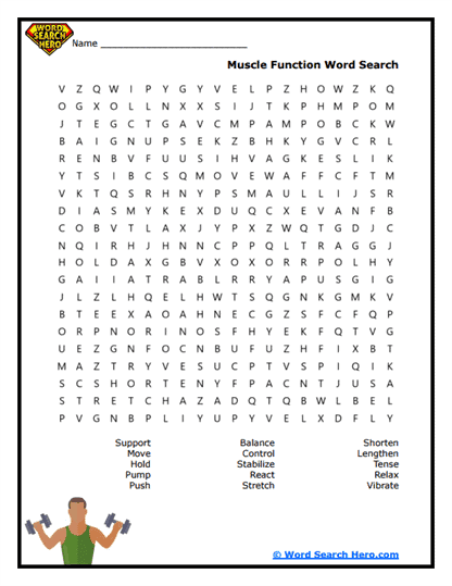 Muscle Duties Word Search