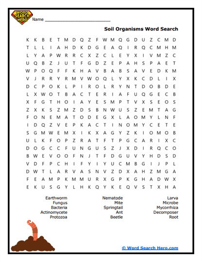 Conservation Covers Word Search